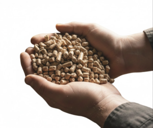Analyzing the Growth of China Leading Biomass Pellet Machine Factory in the Global Energy Shift