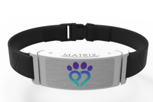 Pet Madness Inc. Announces Strategic Appointment of Jeff Karan as Fractional CFO, Completes AWS Enterprise Data Lake