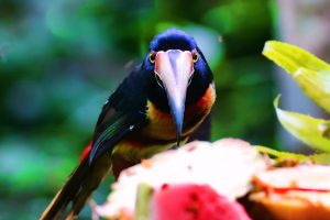 Moose Frame Media Launches Photographic Initiative to Document Distinctive Environments and Architecture