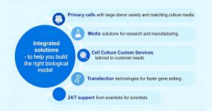 Bridging In Vivo Reality and In Vitro Research: Global Market Trends and  Competencies of Leading Primary Cell Suppliers
