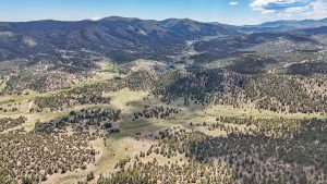 Out-of-State Buyers Continue Targeting Custer County Real Estate, Says Kayla Brady – Realtor