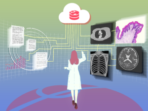 Callisto Offers Free Japan-Sourced Annotated Lung Cancer-Suspected X-ray and Prostate Cancer MRI Datasets