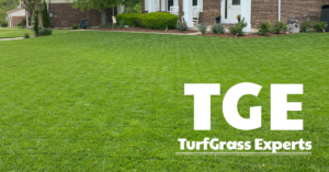 TurfGrass Experts Launches New Initiative to Help Northern Kentucky Homeowners Facing New Construction Lawn Issues