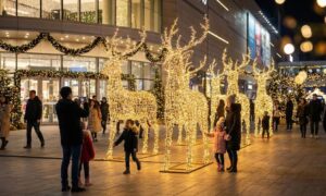 Retail Chains Assess Local Suppliers and China Exporters for Christmas Deer Decoration Sourcing