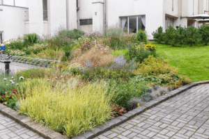 Spring Landscape Trends Offer Smart Design Ideas for NJ and PA Homeowners