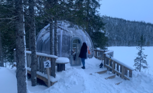 Skycamp Implements Durable PC Glamping Pod Solutions for Year-Round Outdoor Use