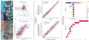 Unlocking subsurface geoenergy and storage potential using machine learning