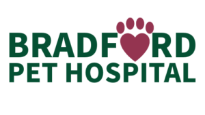 Bradford Pet Hospital Offers Dedicated Cat-Friendly Care with Separate Entrance and Exam Room in Olathe