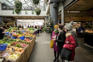 Fernwayer Launches in France with Story-Driven Cultural Experiences