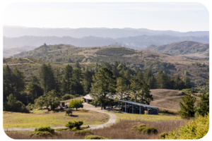 DJERASSI WELCOMES CRAIG ADAMS AS NEW EXECUTIVE DIRECTOR