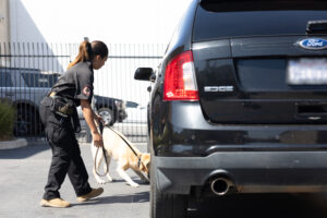 Allied Universal Recognized For Third Consecutive Year Among America’s Greatest Workplaces for Women by Newsweek