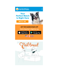 Hands2Paws Partners with Tailtrust to Expand Access to Pet Insurance Discounts for Responsible Pet Owners