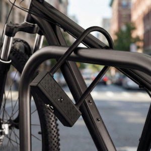 Todson signs exclusive distribution agreement for smart Black X Locks